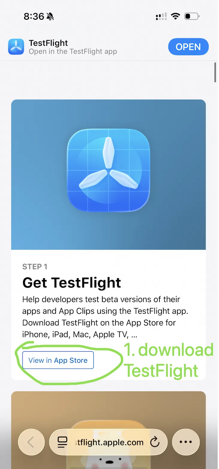 Step 1: Download TestFlight from the App Store